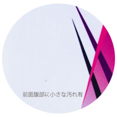 汚れ有りUP画像