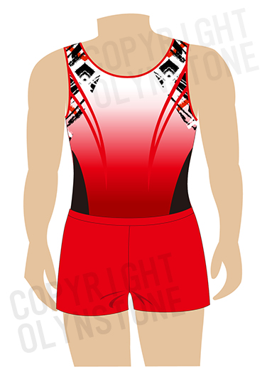 洗練されたデザインが素敵な男子体操レオタード