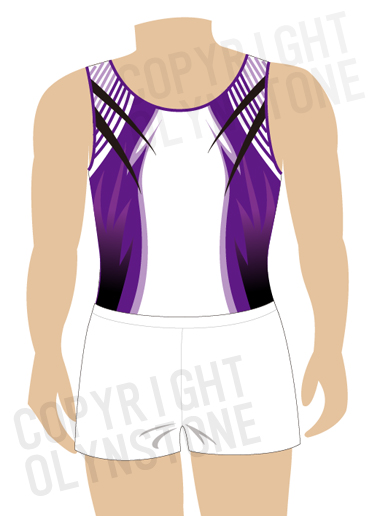 カッコイイ男子体操レオタード