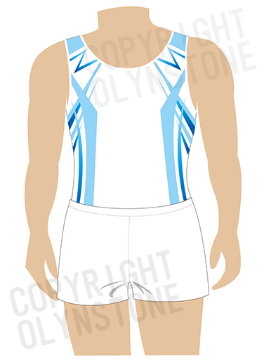 お洒落な男子競技用レオタード