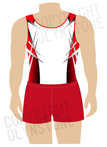 男子競技用レオタード衣装