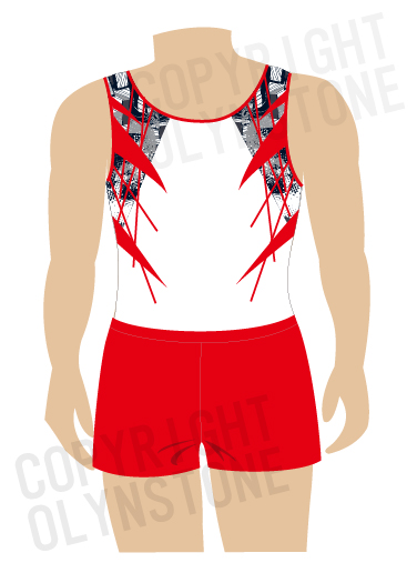 カッコイイ男子体操レオタード