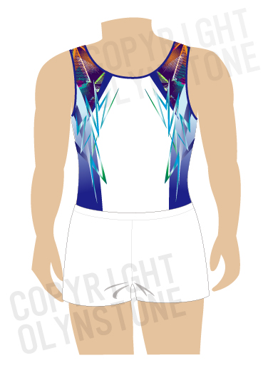 お洒落な男子競技用レオタード