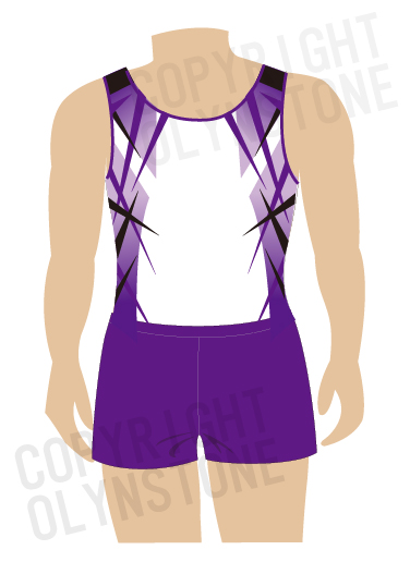 男子体操レオタード衣装