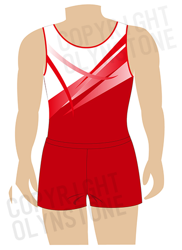 洗練されたデザインが素敵な男子体操レオタード