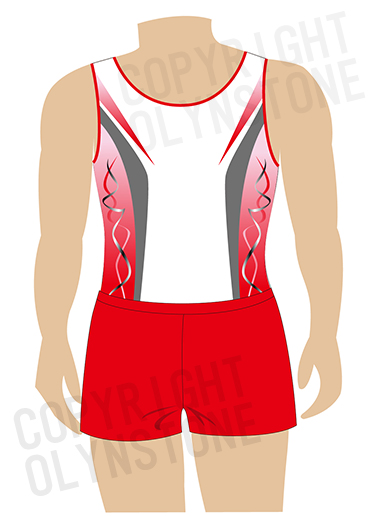 洗練されたデザインが素敵な男子体操レオタード