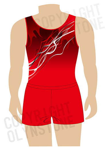 洗練されたデザインが素敵な男子体操レオタード