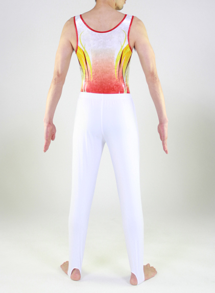 男子体操レオタードWOL-GM-1705logバック