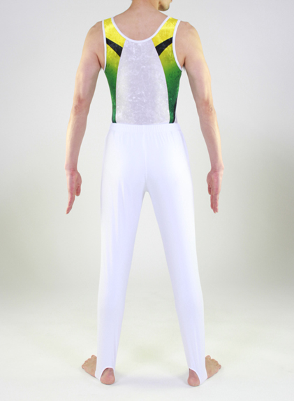 男子体操レオタードWOL-GM-1708logバック